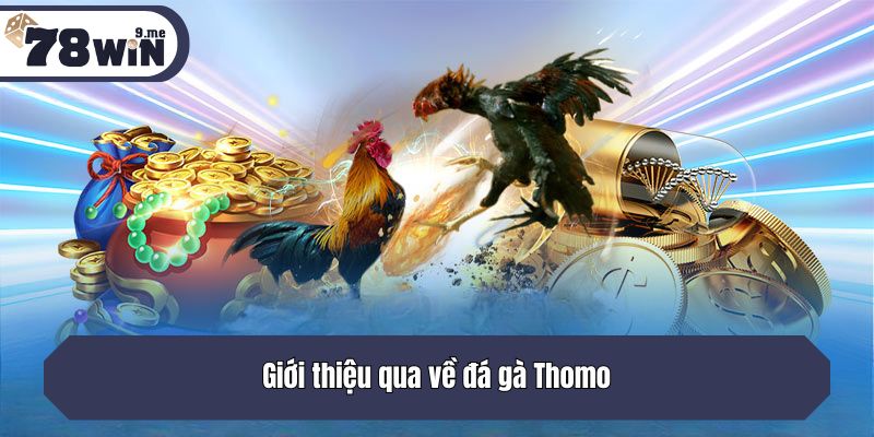 Giới thiệu qua về đá gà Thomo