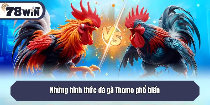 Những hình thức đá gà Thomo phổ biến